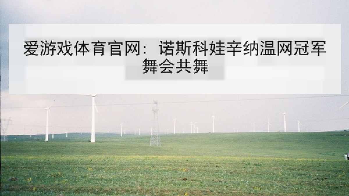 爱游戏体育官网: 诺斯科娃辛纳温网冠军舞会共舞 爱游戏体育官网: 诺斯科娃辛纳温网冠军舞会共舞