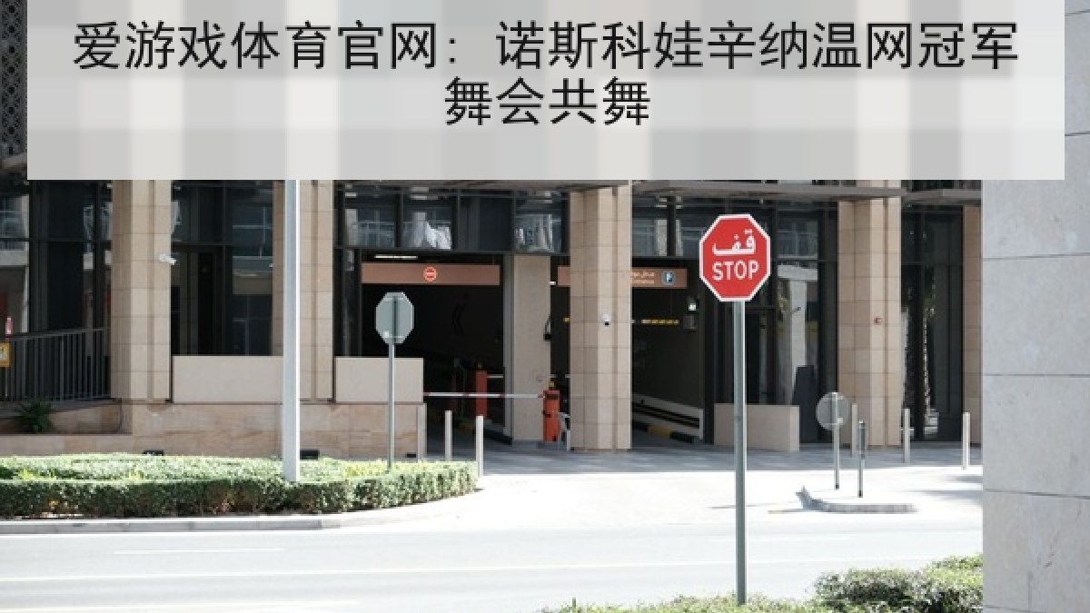 爱游戏体育官网: 诺斯科娃辛纳温网冠军舞会共舞 爱游戏体育官网: 诺斯科娃辛纳温网冠军舞会共舞